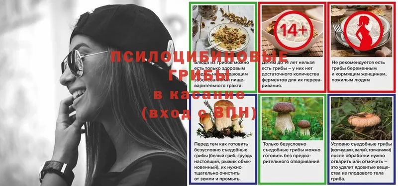 купить наркоту  blacksprut зеркало  Псилоцибиновые грибы MAGIC MUSHROOMS  Ряжск 